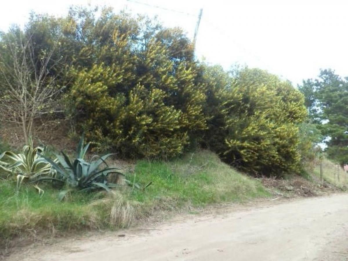 Terreno em Mar del Plata, Argentina N.º 121830