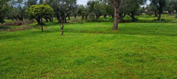 7 bedrooms Commercial property in Zakynthos, Greece No. 609 20