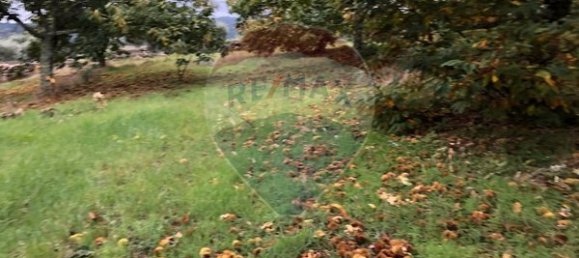 17900m² Land in Aveloso, Portugal No. 73220 2