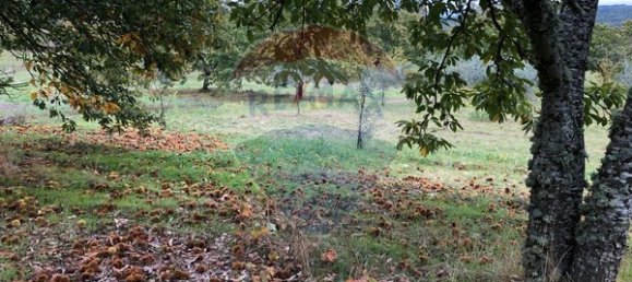 17900m² Land in Aveloso, Portugal No. 73220 5