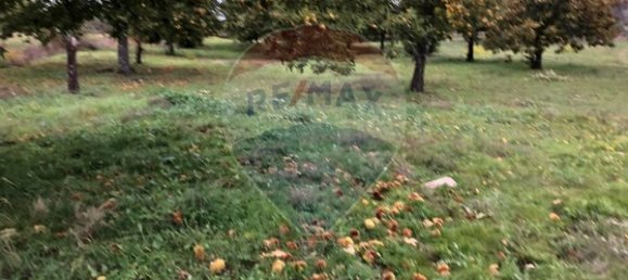 17900m² Land in Aveloso, Portugal No. 73220 4