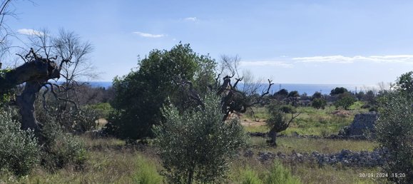 3-Zimmer Villa in Salve, Italy, Nr. 117065 8