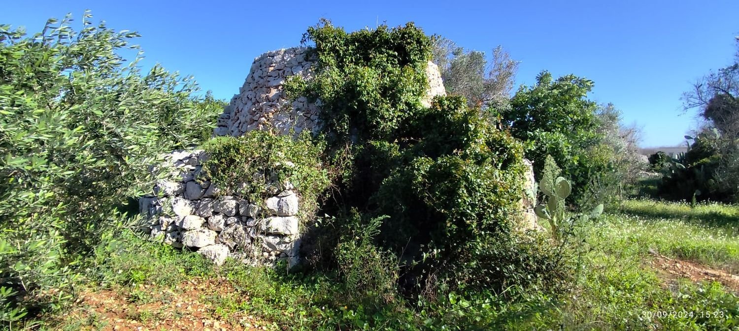 3-Zimmer Villa in Salve, Italy, Nr. 117065