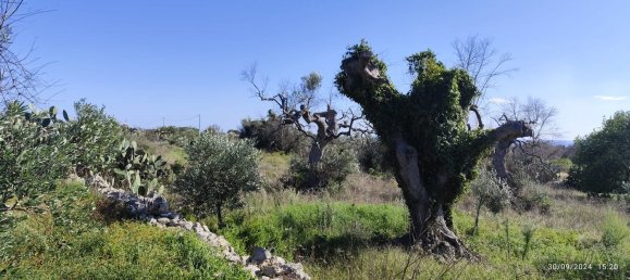 3-Zimmer Villa in Salve, Italy, Nr. 117065 9