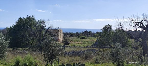 3-Zimmer Villa in Salve, Italy, Nr. 117065 12