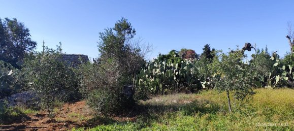 3-Zimmer Villa in Salve, Italy, Nr. 117065 11