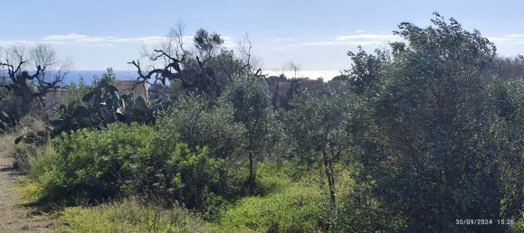 3-Zimmer Villa in Salve, Italy, Nr. 117065 7