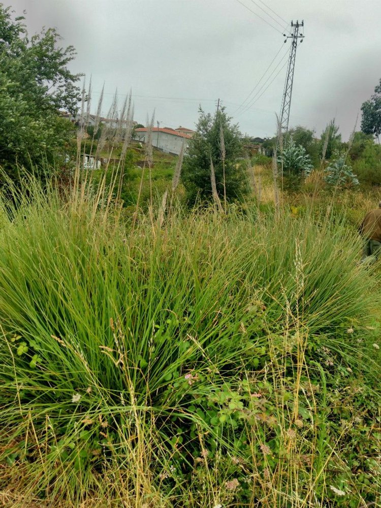 Terreno en Vila Nova de Gaia, Portugal 5000 m² No. 60338