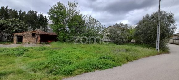  قطعة أرض في Avelas de Cima, Portugal 1200متر مربع رقم 78620 7