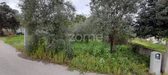  قطعة أرض في Avelas de Cima, Portugal 1200متر مربع رقم 78620 5