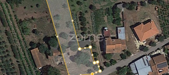  قطعة أرض في Avelas de Cima, Portugal 1200متر مربع رقم 78620 2