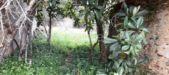  قطعة أرض في Avelas de Cima, Portugal 1200متر مربع رقم 78620 10