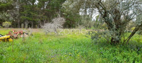  قطعة أرض في Avelas de Cima, Portugal 1200متر مربع رقم 78620 9