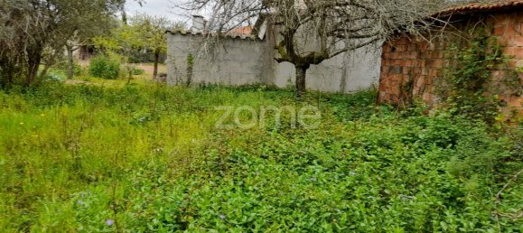  قطعة أرض في Avelas de Cima, Portugal 1200متر مربع رقم 78620 8