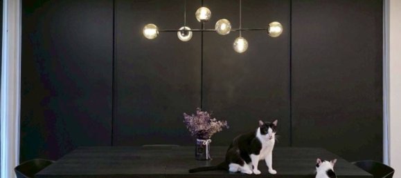 3 Schlafzimmer Haus in San Kamphaeng, Thailand, Nr. 65128 22