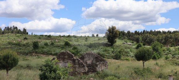  قطعة أرض في Seixo da Beira, Portugal 30990متر مربع رقم 11478 23