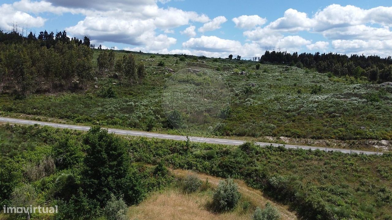  قطعة أرض في Seixo da Beira, Portugal 30990متر مربع رقم 11478