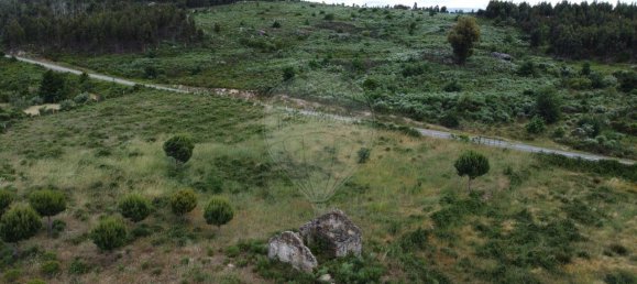  قطعة أرض في Seixo da Beira, Portugal 30990متر مربع رقم 11478 14