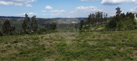  قطعة أرض في Seixo da Beira, Portugal 30990متر مربع رقم 11478 17