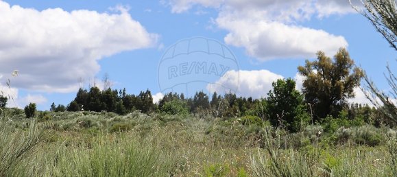  قطعة أرض في Seixo da Beira, Portugal 30990متر مربع رقم 11478 9