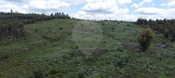  قطعة أرض في Seixo da Beira, Portugal 30990متر مربع رقم 11478 20