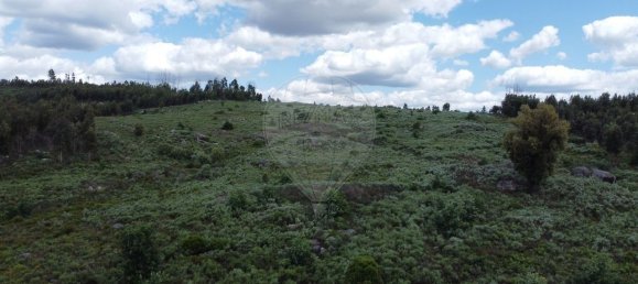  قطعة أرض في Seixo da Beira, Portugal 30990متر مربع رقم 11478 7