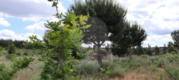  قطعة أرض في Seixo da Beira, Portugal 30990متر مربع رقم 11478 19