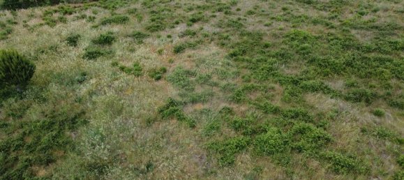  قطعة أرض في Seixo da Beira, Portugal 30990متر مربع رقم 11478 16