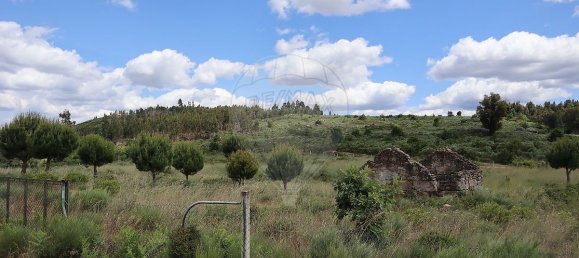  قطعة أرض في Seixo da Beira, Portugal 30990متر مربع رقم 11478 5