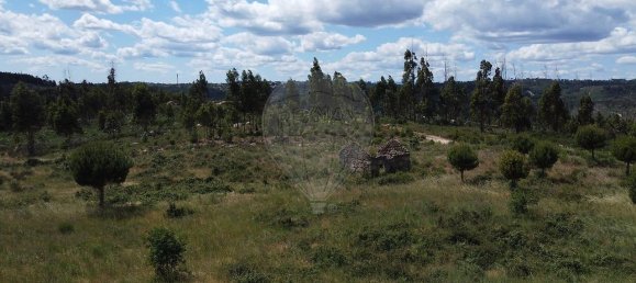  قطعة أرض في Seixo da Beira, Portugal 30990متر مربع رقم 11478 3