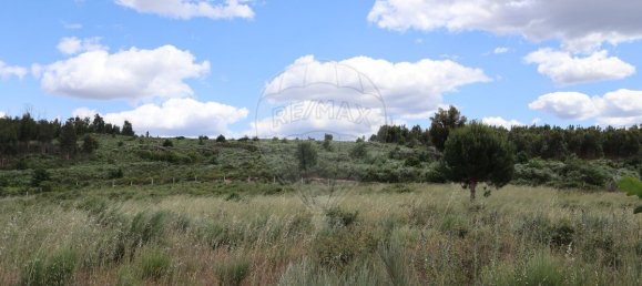  قطعة أرض في Seixo da Beira, Portugal 30990متر مربع رقم 11478 11