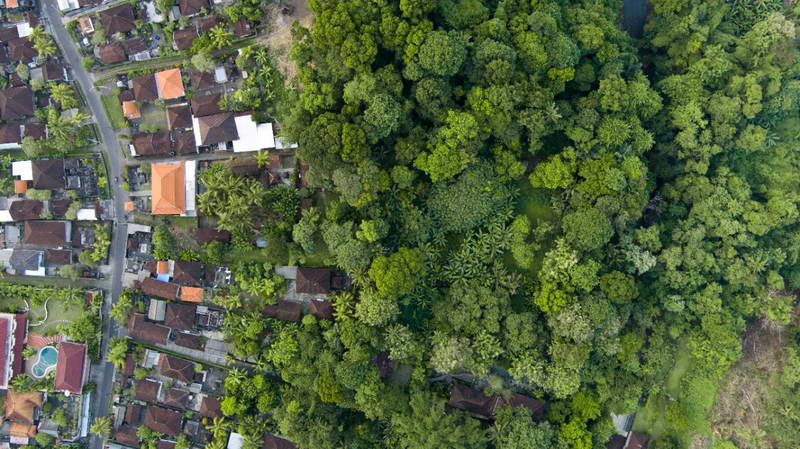 Земельный участок 4000м² в Tabanan, Индонезия № 3728