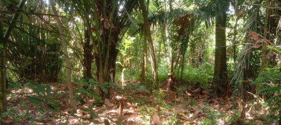 Земельный участок 4000м² в Tabanan, Индонезия № 3728 11