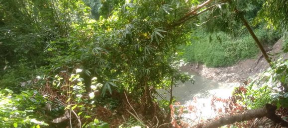 Земельный участок 4000м² в Tabanan, Индонезия № 3728 3