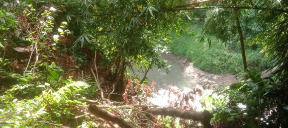 Земельный участок 4000м² в Tabanan, Индонезия № 3728 4