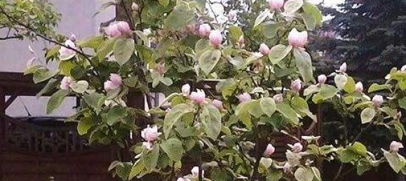 4 rooms Villa in Grafenbach-St. Valentin, Austria No. 244675 16