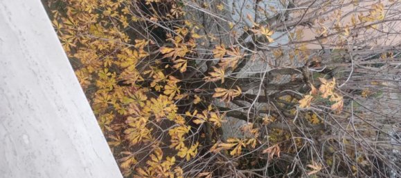 5 rooms Apartment in Sassuolo, Italy No. 23816 19