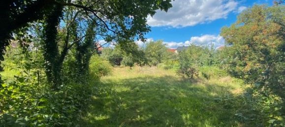 4 Schlafzimmer Villa in Dresden, Germany, Nr. 20078 8