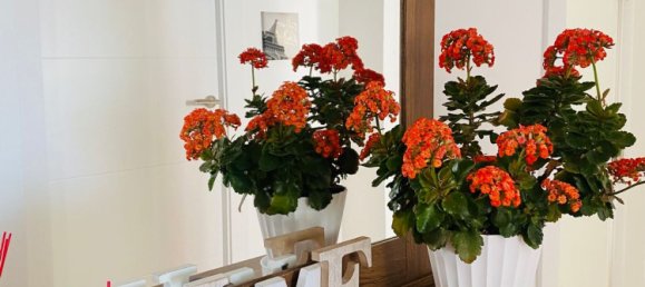 Apartamento T3 em Andalusia, Spain N.º 170899 17