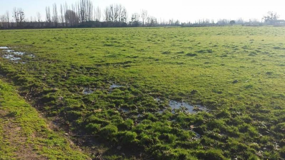  Land in Maule, Chile No. 931