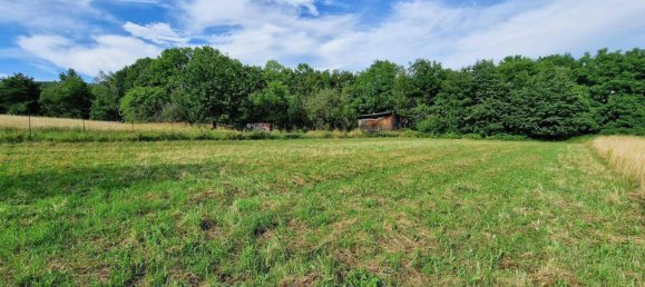 Terreno em Sieggraben, Austria N.º 81132 4