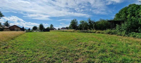 Terreno em Sieggraben, Austria N.º 81132 5