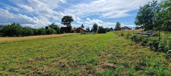 Terreno em Sieggraben, Austria N.º 81132 8
