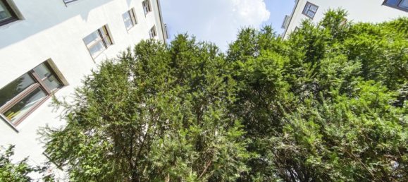 3 rooms Apartment in Neubau, Austria No. 151380 2