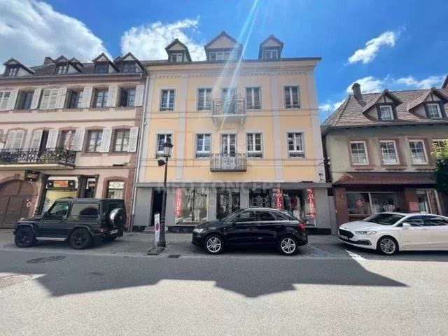 10 rooms Building in Wissembourg, France No. 152618