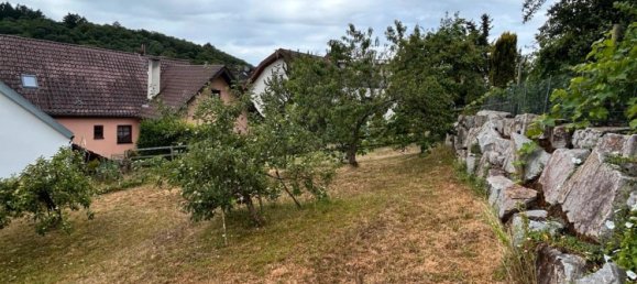  قطعة أرض في Enzkreis, Germany رقم 324262 3