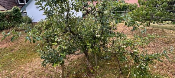  قطعة أرض في Enzkreis, Germany رقم 324262 4