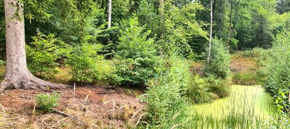 Terreno en Ostprignitz-Ruppin, Germany No. 234628 5