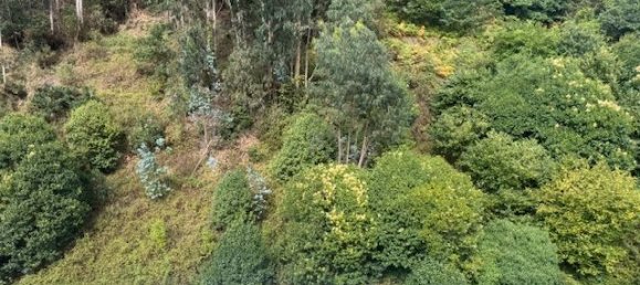 Apartamento T3 em Asturias, Spain N.º 175232 16