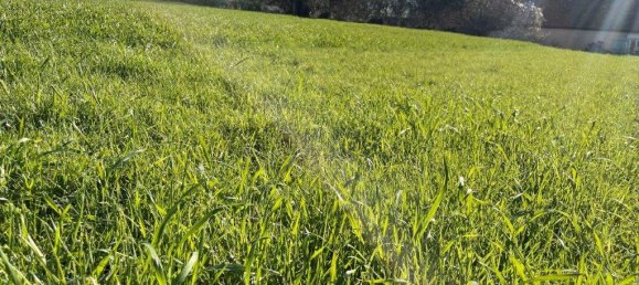 Grundstück in La Gaudaine, France, Nr. 79310 3